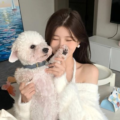 贫民百万总统